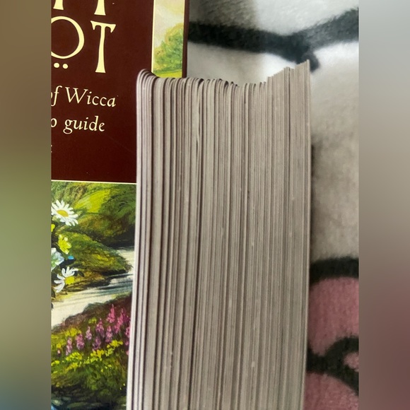 The Druid Craft Tarot - Picture 13 of 15